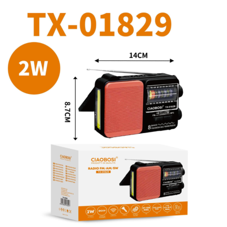 Radio Portable Multi Bande FM/MW/SW Design Cl | Smarty Paris